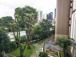 The Boutiq (D9), Apartment #509223511